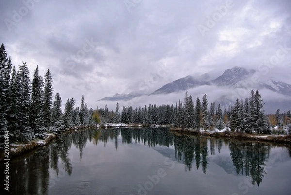 Fototapeta Trees reflection in lake