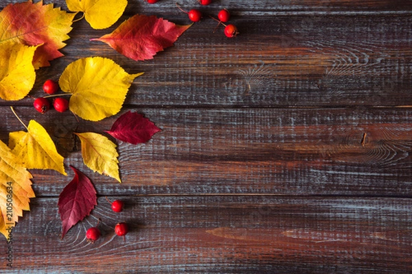 Obraz Autumn colored leaves top view copy space