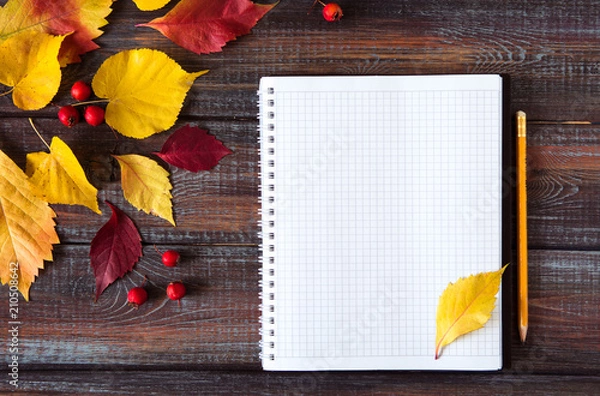 Obraz Autumn colored leaves top view copy space