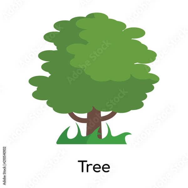 Fototapeta Tree icon vector sign and symbol isolated on white background, Tree logo concept