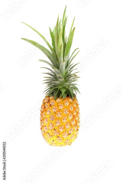 Obraz pineapple isolated on white background