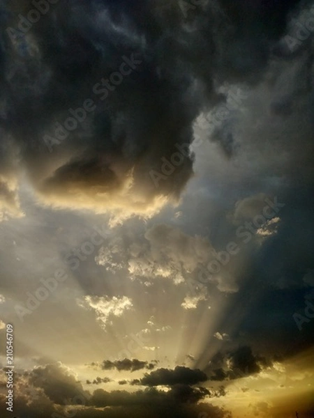 Fototapeta Rain aftermath