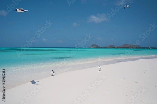 Fototapeta white sand beach 