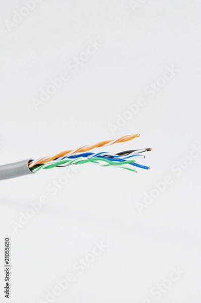 Obraz Network cable