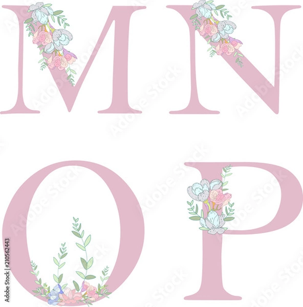 Obraz Flower alphabet letter .