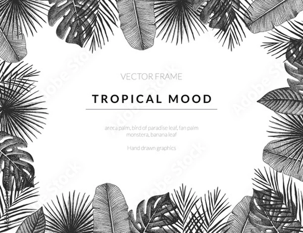 Fototapeta Tropical vector template background with vintage exotic plants. Hand drawn retro styled frame graphic.