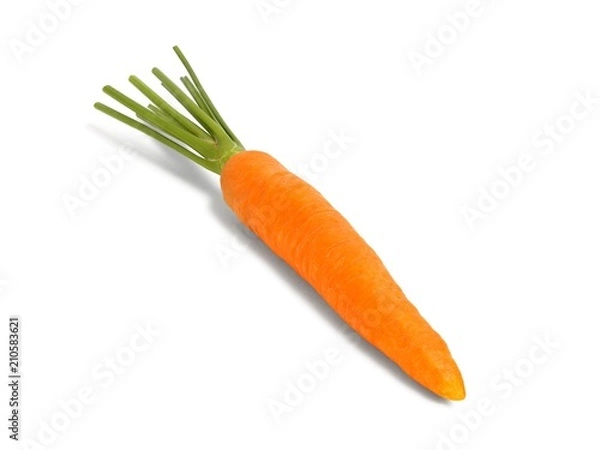 Fototapeta One Carrot on White Background