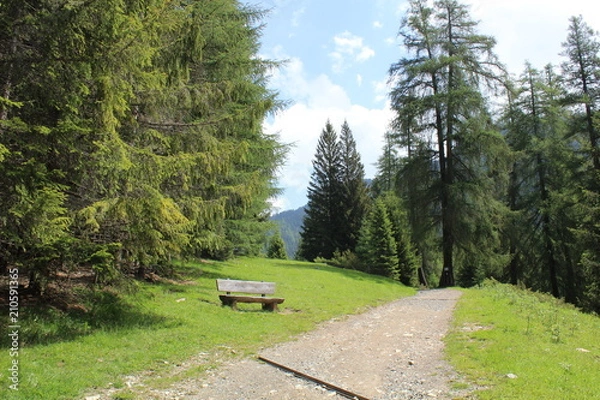Obraz Weg