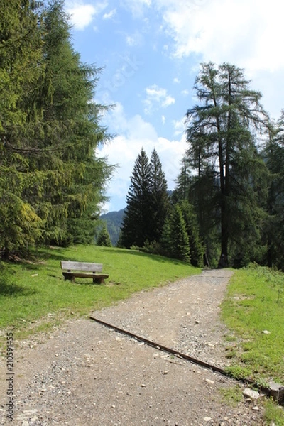 Obraz Wandern
