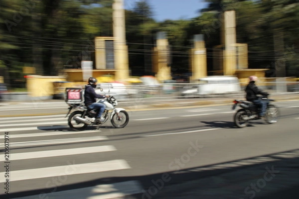 Obraz Sao Paulo Agua Branca Park