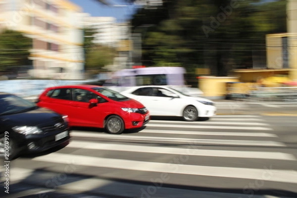 Fototapeta Sao Paulo Agua Branca Park