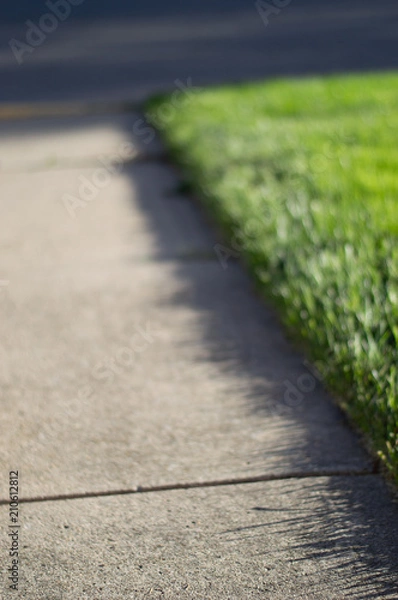 Obraz Path to Somewhere