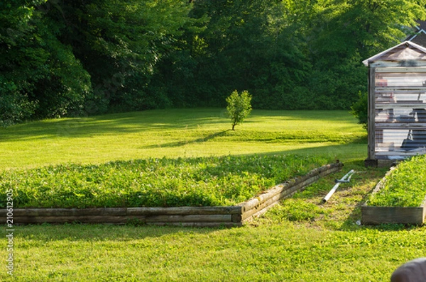 Obraz Glowing Green Garden