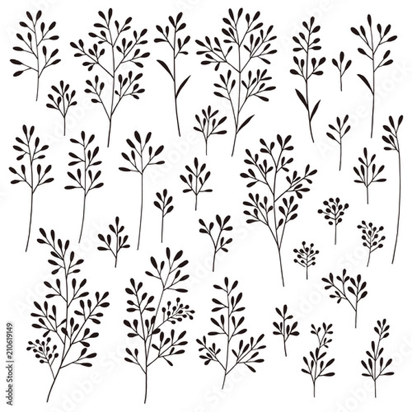 Fototapeta 植物のイラスト