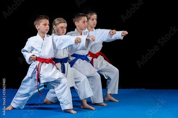 Fototapeta młode, piękne, odnoszące sukcesy, wieloetyczne dzieci karate na pozycji karate.