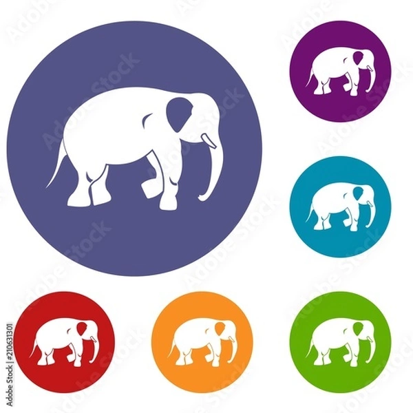 Fototapeta Elephant icons set in flat circle red, blue and green color for web