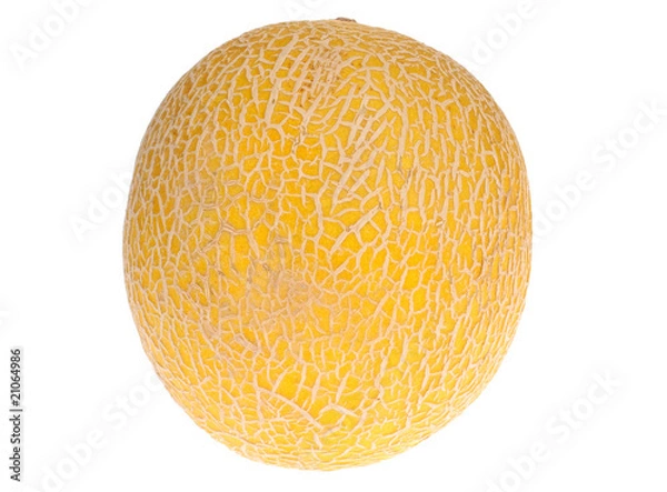 Fototapeta melon isolated on white