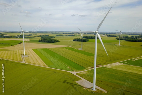 Fototapeta A wind farm in a field in the countryside