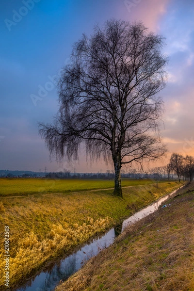 Fototapeta Farben der Natur
