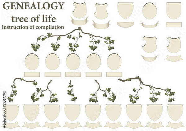 Obraz drzewo życia - genealogia
