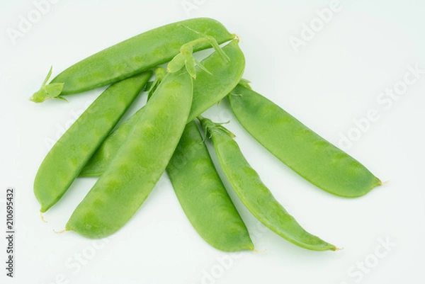 Fototapeta Fresh harvested Snow pea (Pisum sativum var. saccharatum) also known as mangetout organical grown in my garden isolated on white background