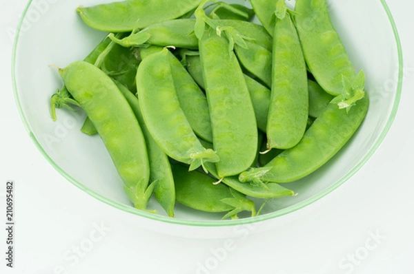 Fototapeta Fresh harvested Snow pea (Pisum sativum var. saccharatum) also known as mangetout organical grown in my garden isolated on white background