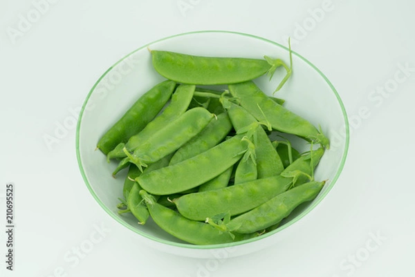Fototapeta Fresh harvested Snow pea (Pisum sativum var. saccharatum) also known as mangetout organical grown in my garden isolated on white background