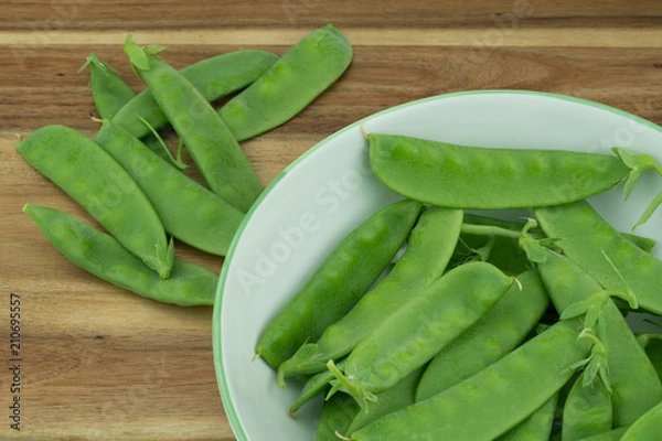Fototapeta Fresh harvested Snow pea (Pisum sativum var. saccharatum) also known as mangetout organical grown in my garden isolated on wooden background