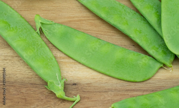 Fototapeta Fresh harvested Snow pea (Pisum sativum var. saccharatum) also known as mangetout organical grown in my garden isolated on wooden background