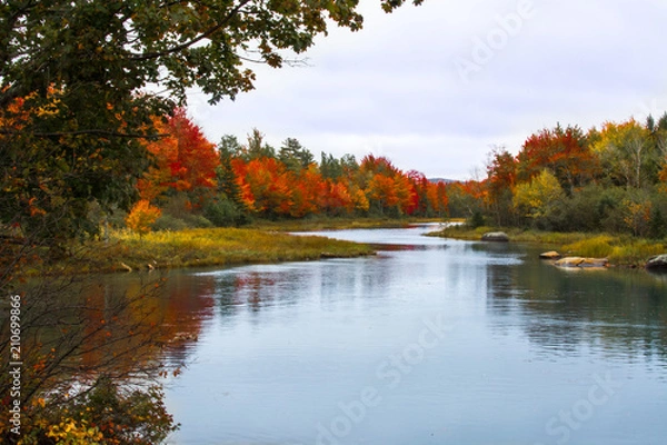 Fototapeta river to nowhere