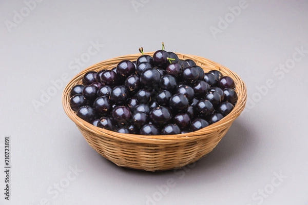 Obraz Jabuticaba