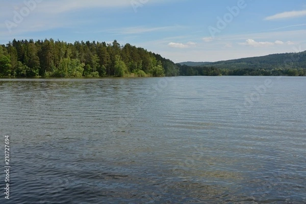 Obraz Lake and trees