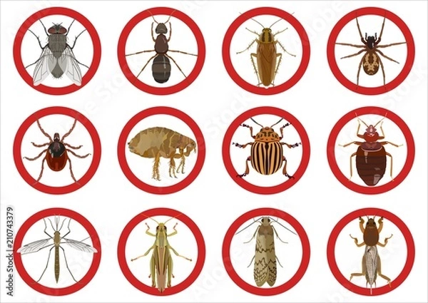 Obraz Collection of warning signs about harmful insects. Vector illustration