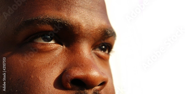 Fototapeta intense gaze forward