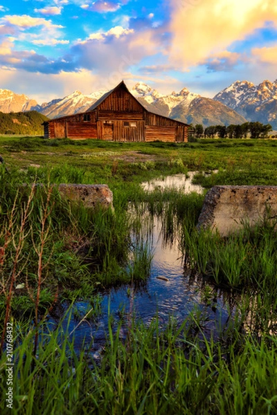 Obraz Mormon row with the Grand Tetons in the background is one of the most popular destinations in Jackson Hole Wyoming.