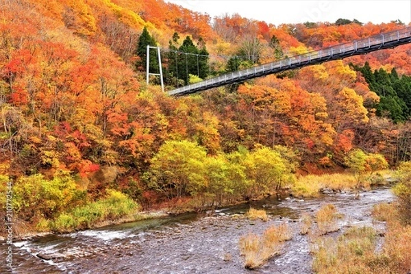 Fototapeta 紅葉の横川渓谷