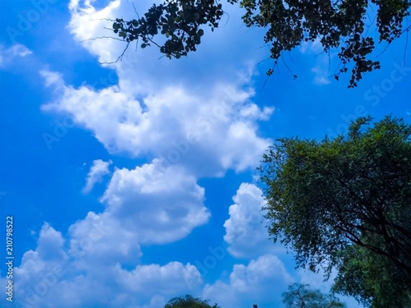 Fototapeta Sky Views