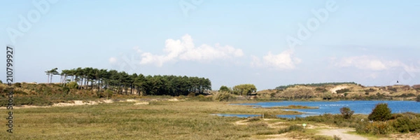 Obraz Dutch Landscape with lake and trees in the Netherlands, Kennemerduinen
