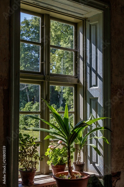 Obraz lights shine through the window