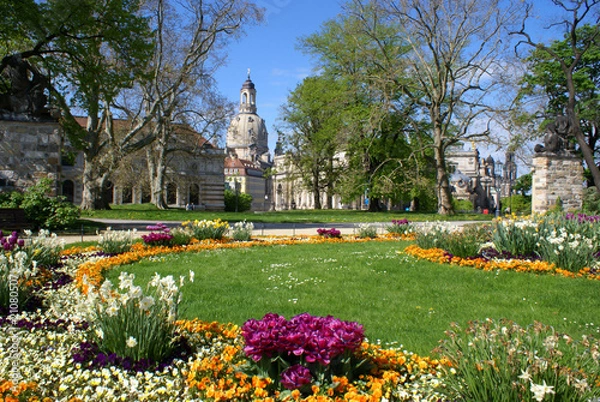 Obraz Frühling in Dresden