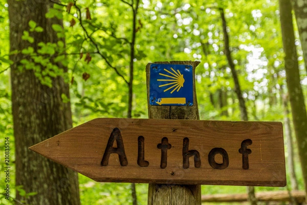 Fototapeta Mecklenburger Wald