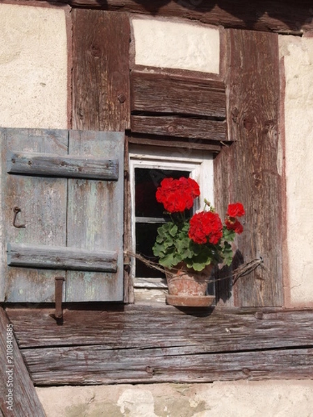 Obraz bauernhaus fenster
