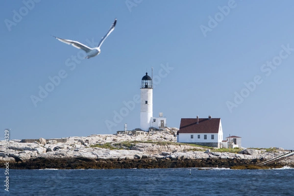 Fototapeta Latarnia morska White Island (Isles of Shoals) w słoneczny dzień w Nowej Anglii