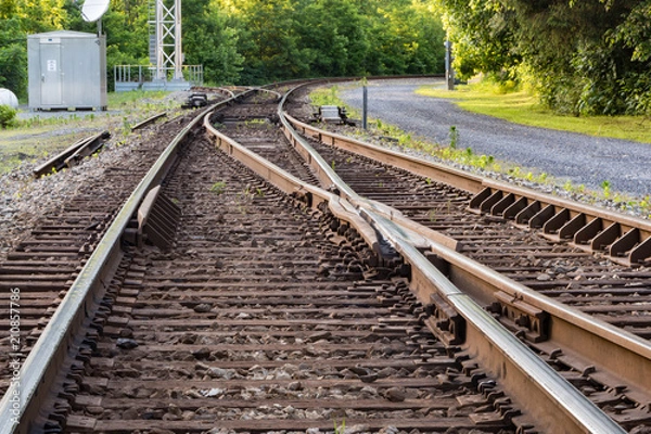 Fototapeta Train tracks merge into one in the forest.