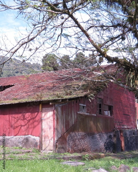 Obraz telhado com plantas