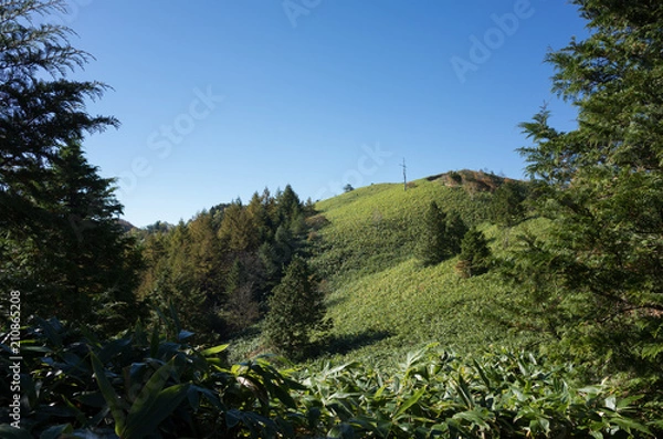 Fototapeta 青空と丘