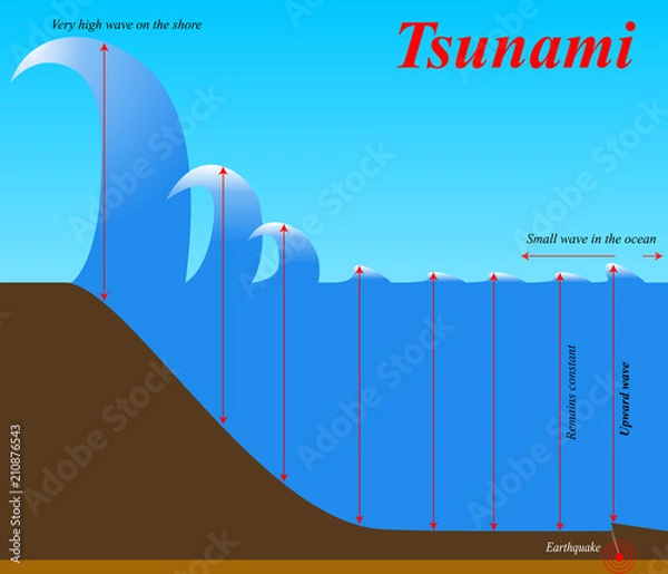 Obraz The structure of earthquake Tsunami. Education chart of natural phenomenon.