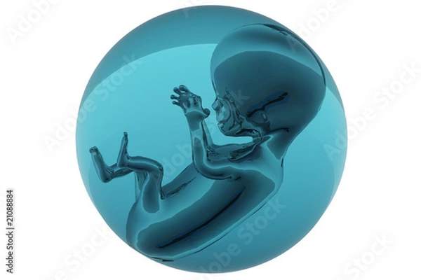Obraz Foetus