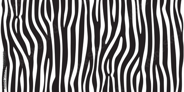 Fototapeta pasek zwierząt dżungla tekstury zebra wektor czarno-białe tło wydruku bez szwu powtórzyć