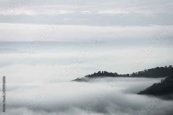 Obraz sea of clouds over the forest, Black and white tones in minimalist photography
